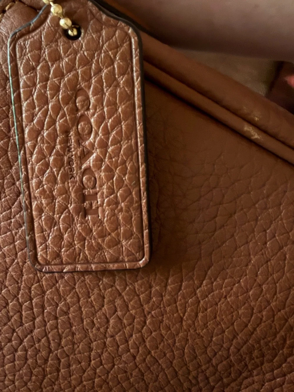Coach Amelia saddle bag
